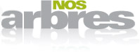 Nos arbres